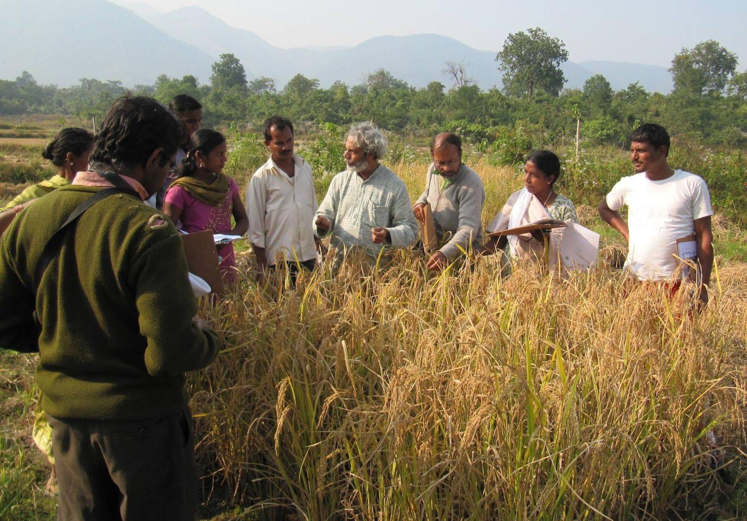 Debal training in the field